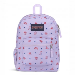 JanSport CROSS TOWN Ruksaci Školske ruksake Svijetlo Ljubičaste | HRZDE12034