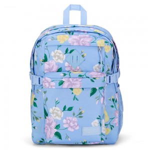 JanSport Main Campus Ruksaci Školske ruksake Svijetlo Plave | HREGJ21054