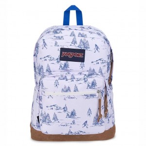 JanSport Right Pack Ruksaci Školske ruksake Bijele Plave | THRPQ91443