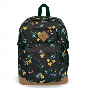 JanSport SUEDE CAMPUS Ruksaci Školske ruksake Crne Žute | XHRGW11268
