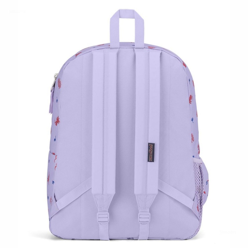 JanSport CROSS TOWN Ruksaci Školske ruksake Svijetlo Ljubičaste | HRZDE12034
