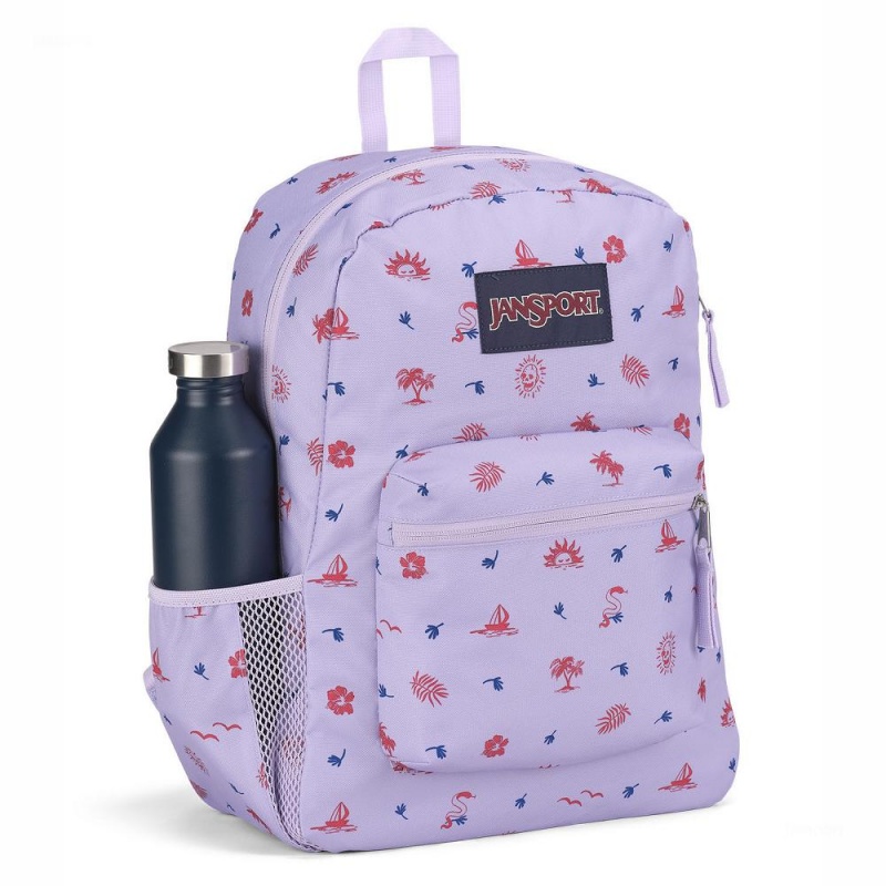 JanSport CROSS TOWN Ruksaci Školske ruksake Svijetlo Ljubičaste | HRZDE12034