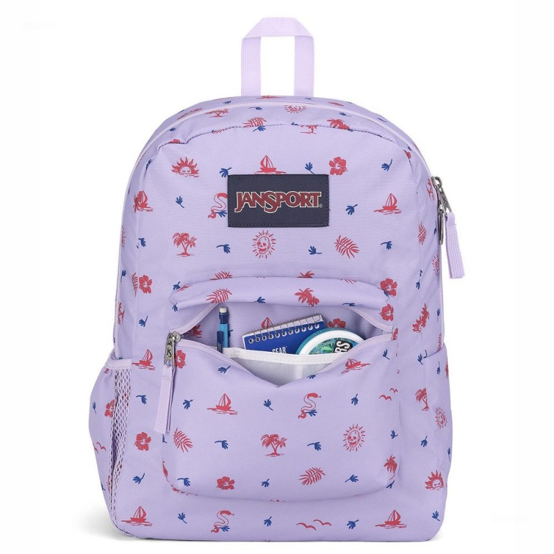 JanSport CROSS TOWN Ruksaci Školske ruksake Svijetlo Ljubičaste | HRZDE12034