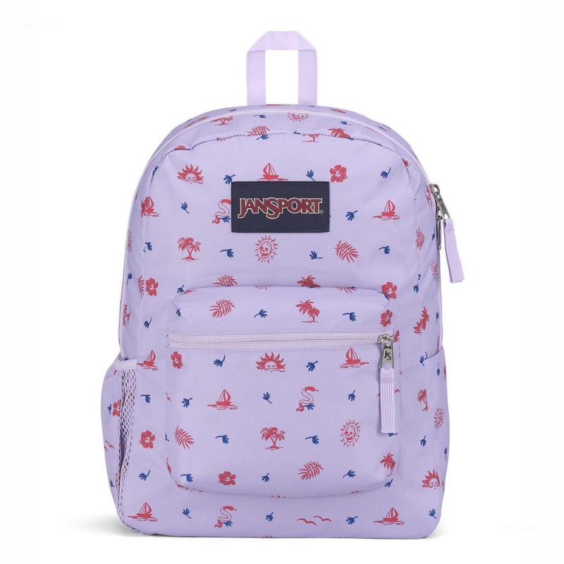 JanSport CROSS TOWN Ruksaci Školske ruksake Svijetlo Ljubičaste | HRZDE12034