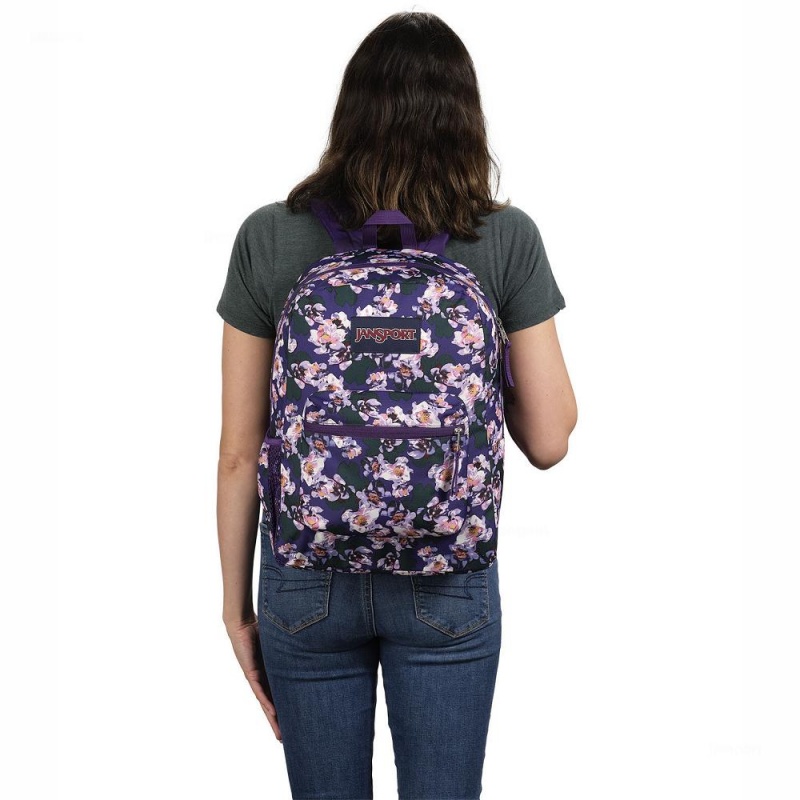 JanSport CROSS TOWN Ruksaci Školske ruksake Ljubičaste | ZHRMJ14035