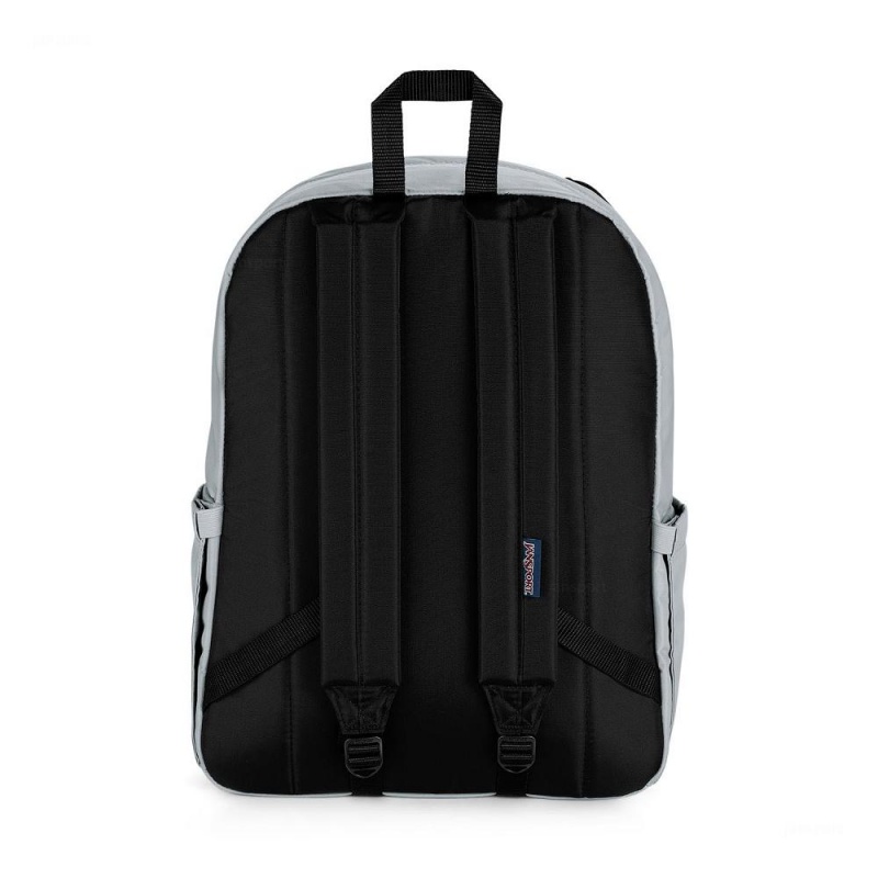 JanSport Double Break Ruksaci Školske ruksake Sive | HREGJ50639
