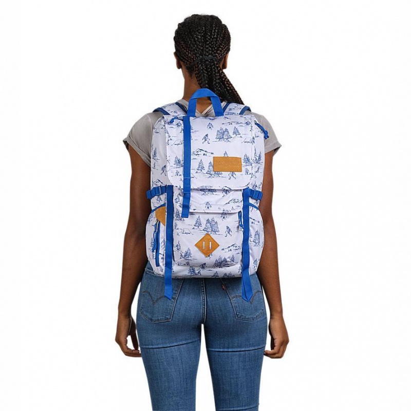 JanSport Hatchet Ruksaci Ruksak za planinarenje Bijele Plave | ZHRNQ95479
