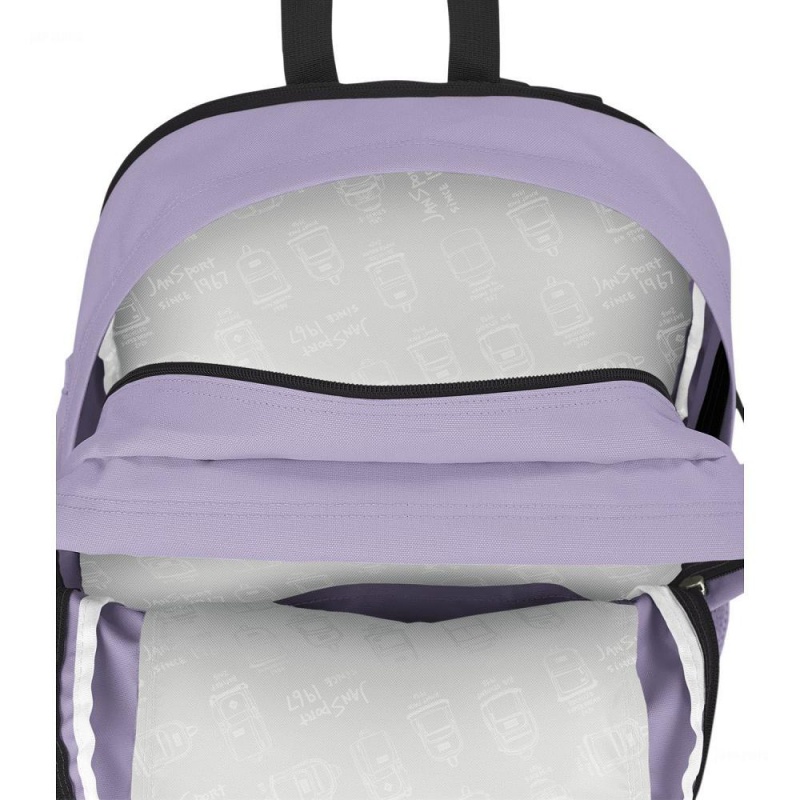 JanSport Main Campus Ruksaci Školske ruksake Ljubičaste | HRICD16795