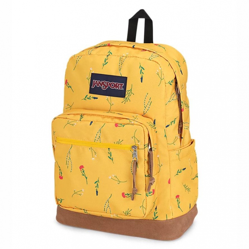 JanSport Right Pack Ruksaci Školske ruksake Žute | HRDFL18051