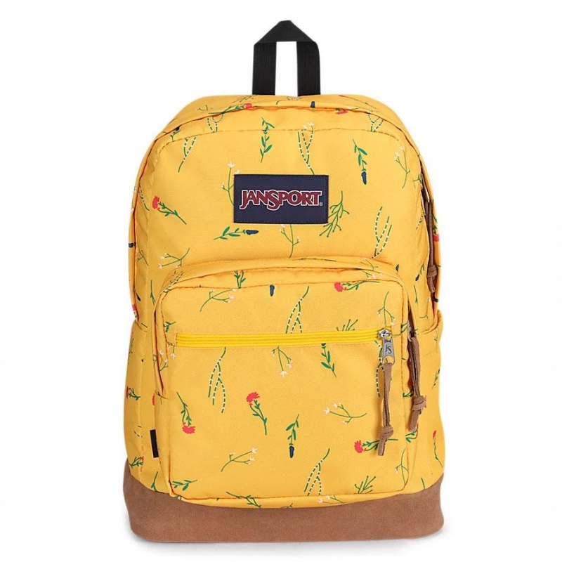 JanSport Right Pack Ruksaci Školske ruksake Žute | HRDFL18051