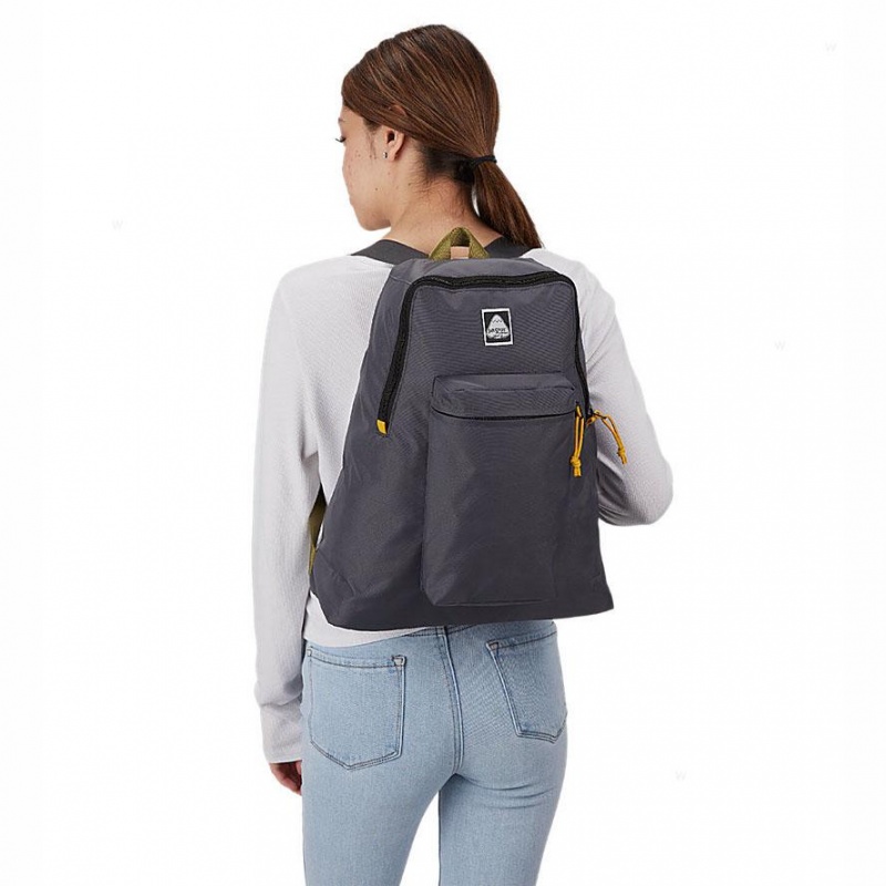 JanSport SKI N HIKE Ruksaci Školske ruksake Sive | EHRHC49655