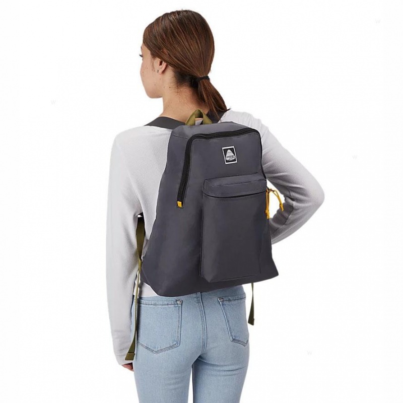 JanSport SKI N HIKE Ruksaci Školske ruksake Sive | EHRHC49655