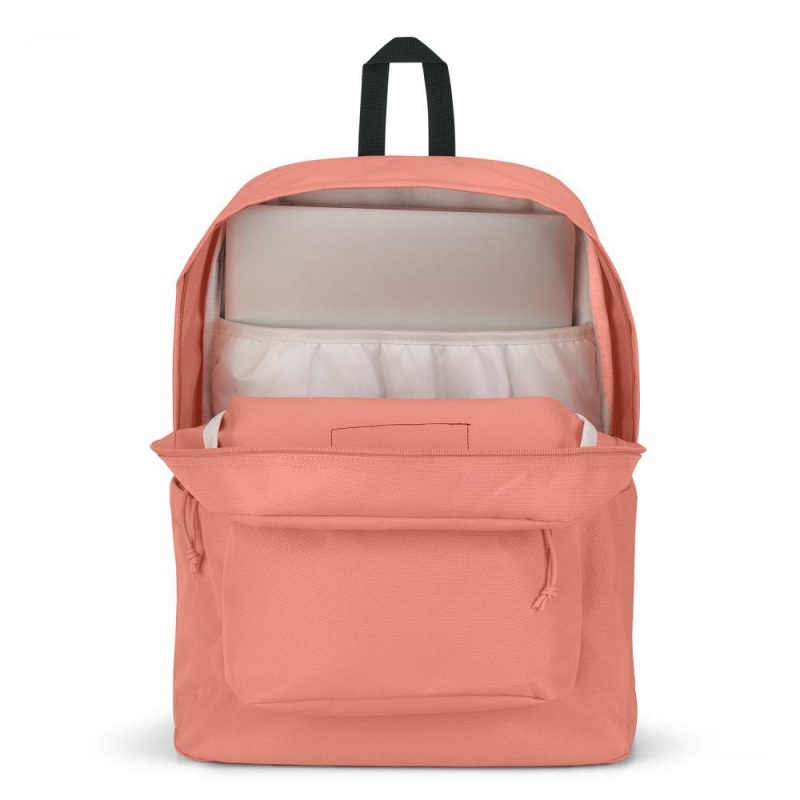 JanSport SuperBreak® Plus Ruksaci Laptop Ruksak Roze | SHRNY96928