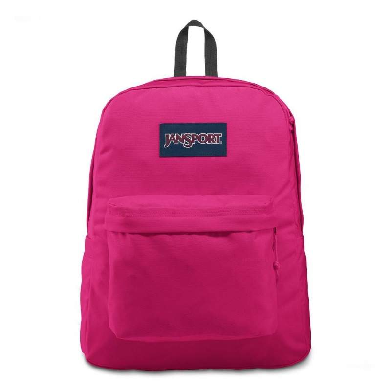 JanSport SuperBreak® Plus Ruksaci Laptop Ruksak Ljubičaste | GHREC33396