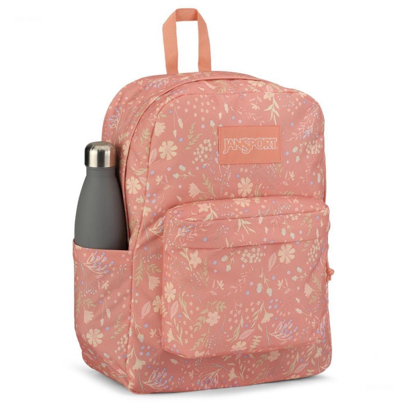 JanSport SuperBreak® Plus Ruksaci Školske ruksake Roze | HRICD96748